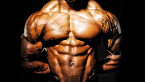 Bodybuilding supplements