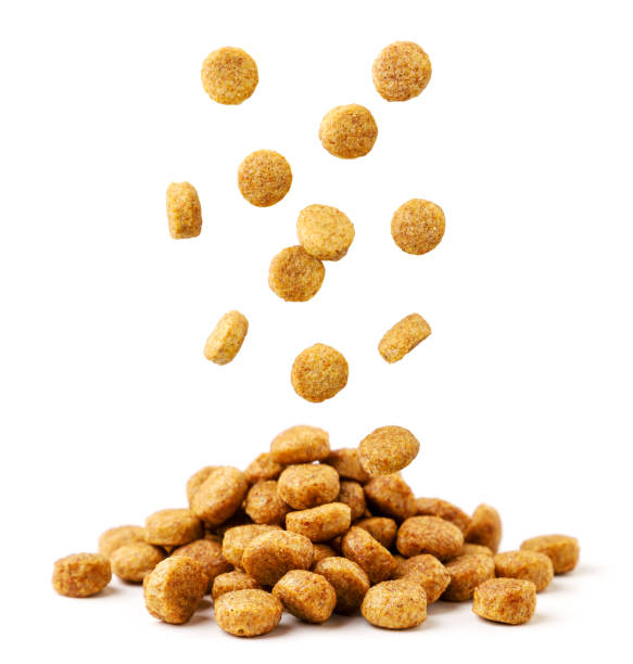 Dog Food
