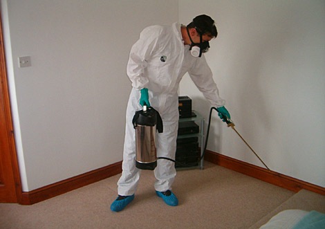 Roach Control