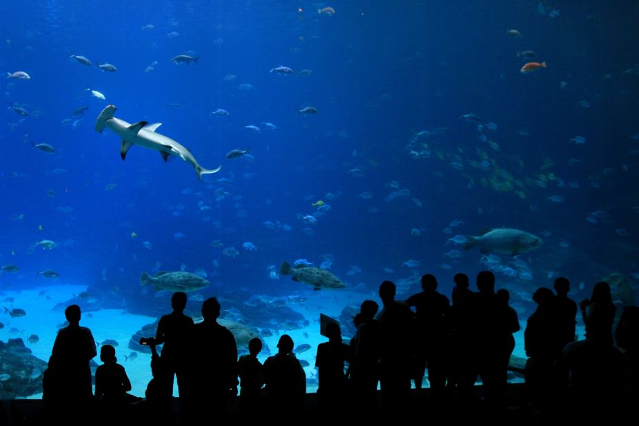Aquarium