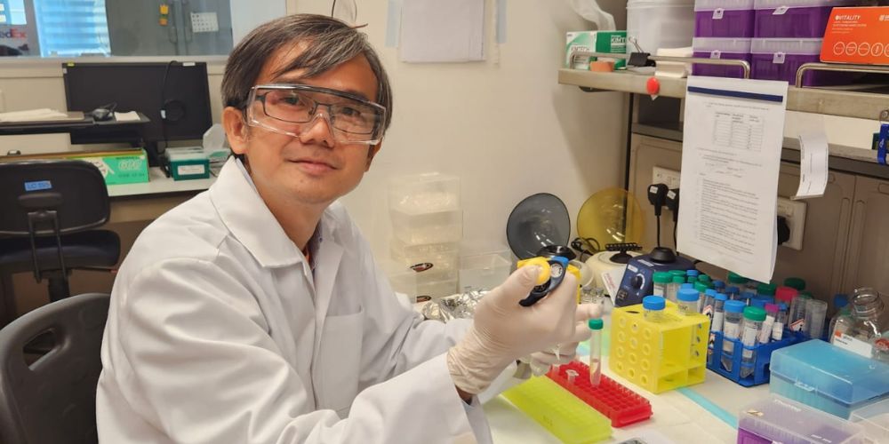 phd program regenerative medicine